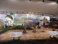 Unveiling the Beauty of Rice Culture at Muzium Padi 🌾🏛️