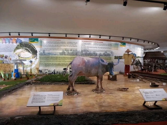 Unveiling the Beauty of Rice Culture at Muzium Padi 🌾🏛️