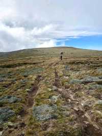 Alpine National Park (VIC)