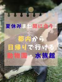 夏休みまだ間に合う！首都圏から日帰りで行ける動物園・水族館