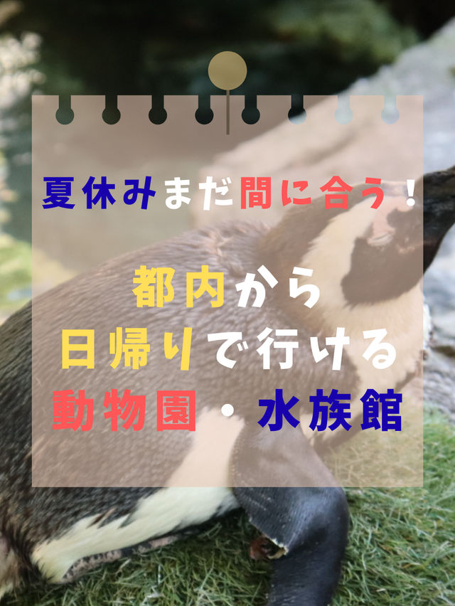 夏休みまだ間に合う！首都圏から日帰りで行ける動物園・水族館