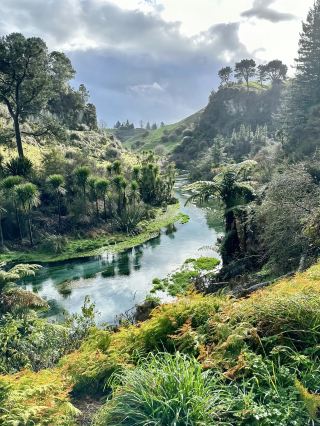[Blue Spring | The pure blue of New Zealand's hidden spring]