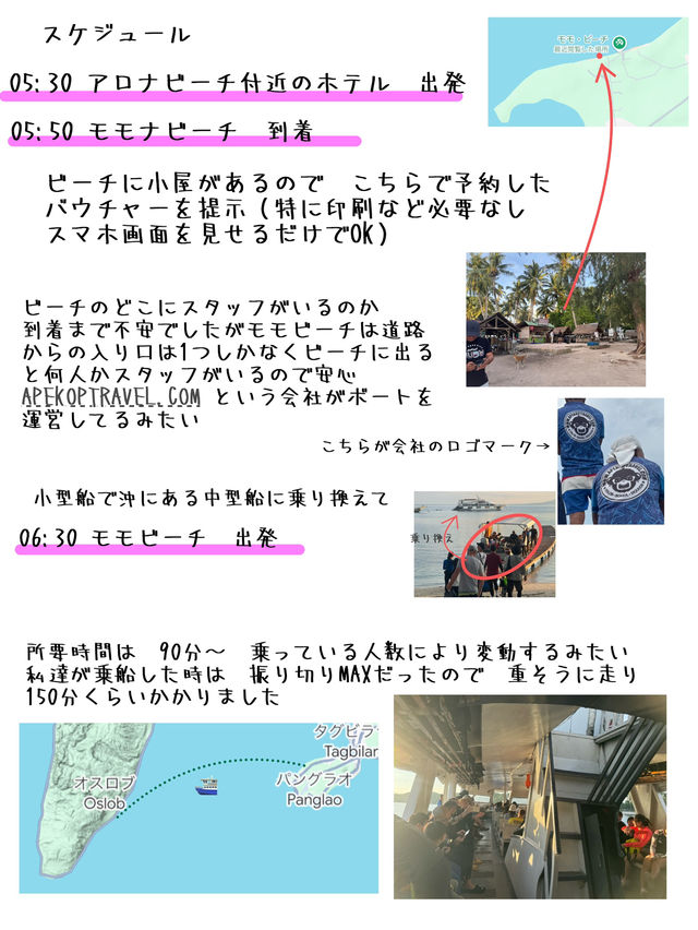 フェリーで行く ボホール島 発着ツアー