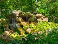 สวนดอกไม้เมืองหนาว นิทรรศน์พรรณพฤกษา จ.ระยอง