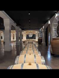 【世界屈指のワインの旅🍷ボルドーのワイン街道を巡る】