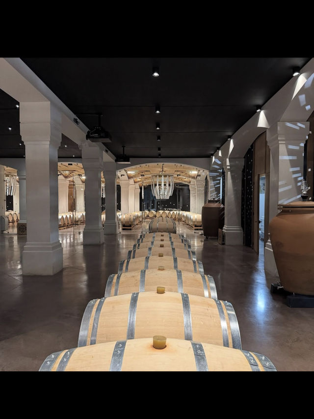 【世界屈指のワインの旅🍷ボルドーのワイン街道を巡る】