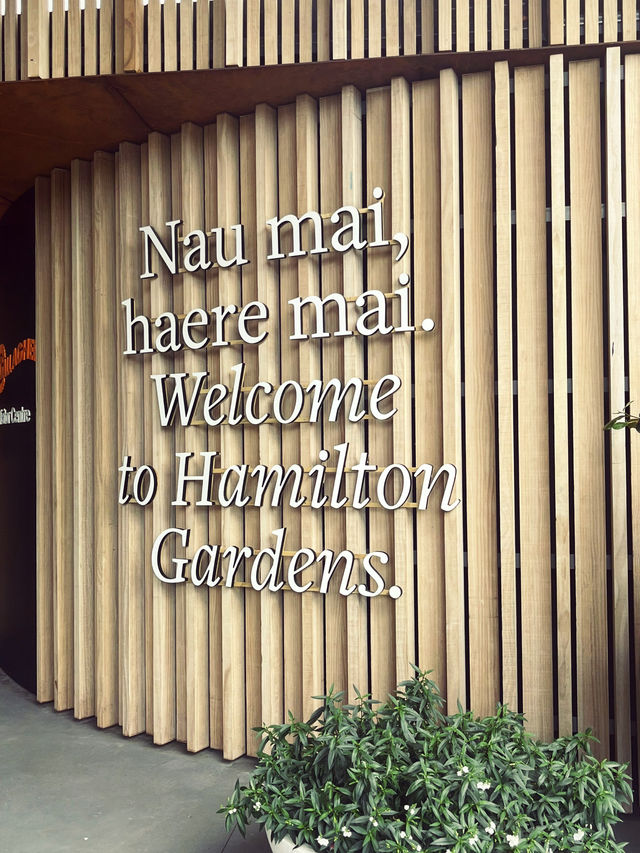 🇳🇿紐西蘭必訪 · 漢米爾頓花園｜一座活的園林藝術博物館 🌿✨