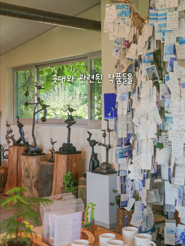 자연과 음악과 영화가 있는 아름다운 제천 여행 코스🌿