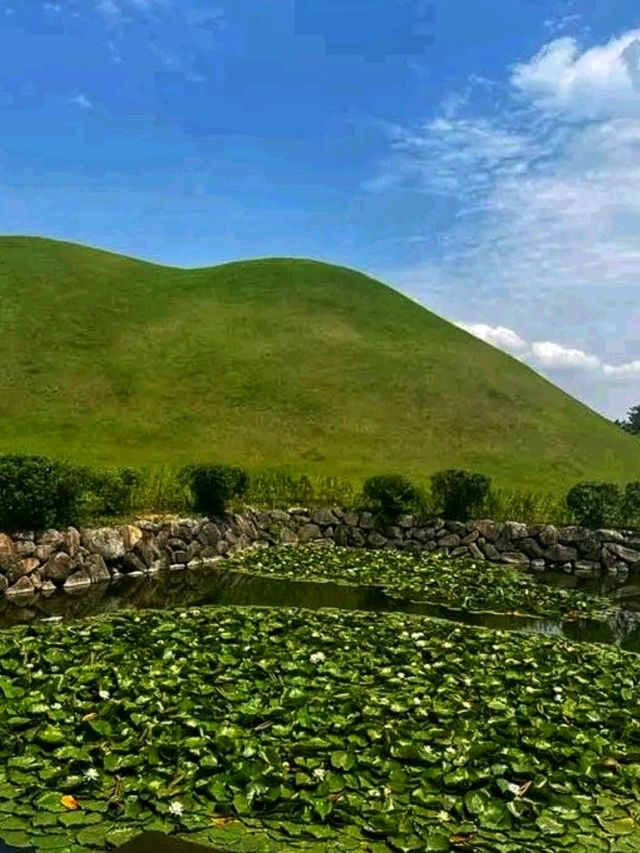 🌿⚱️ Daereungwon Tomb Complex – Walking Among Ancient Kings ⚱️🌿 🌿⚱️ Daereungwon Tomb Complex – Walking Among Ancient Kings ⚱️🌿