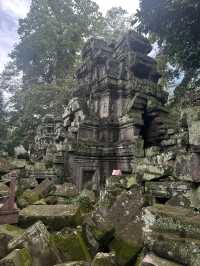 Giant roots and a magical place - Ta Prohm Temple