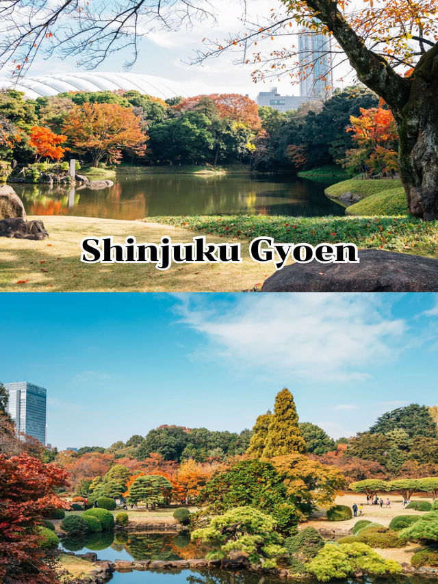 ShinjukuGyoen 