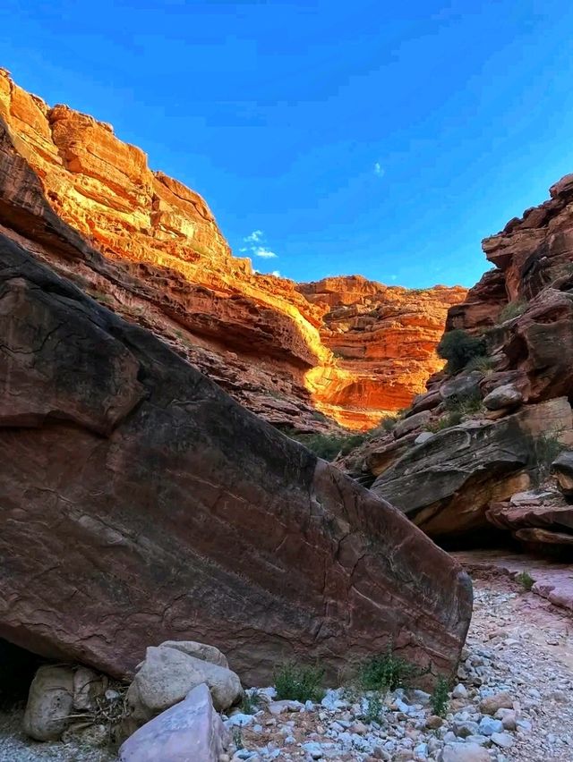💦 Havasu Falls – Arizona’s Hidden Paradise 🇺🇸