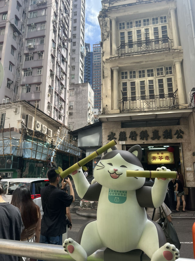 和貓貓一起漫遊荷李活道