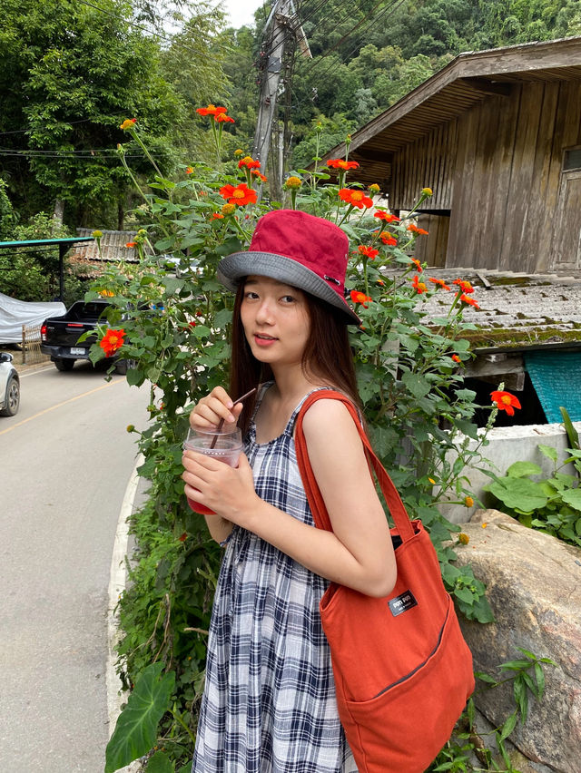 หมู่บ้านแม่กำปอง เชียงใหม่⛰️