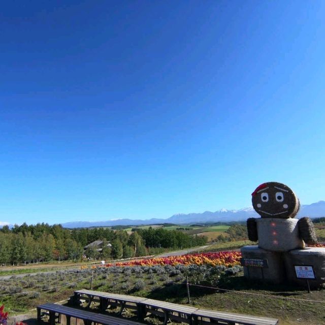 北海道大雪山國立公園漫步 北海道大雪山國立公園漫步