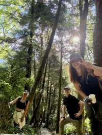 Escape to YangMingShan (QingTiangGang & LengShuiKeng) 🍃🌳