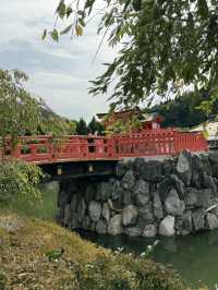  🪆日本勝尾寺打卡遊記｜滿滿達摩的祈福聖地✨