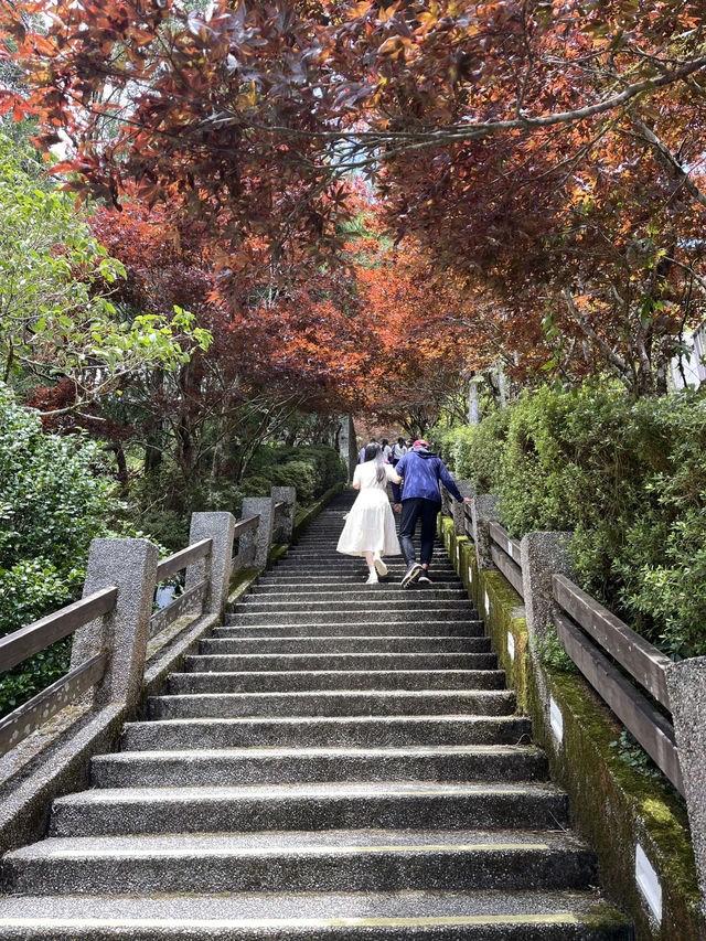 避暑勝地⛰️太平山與大自然的療癒時光