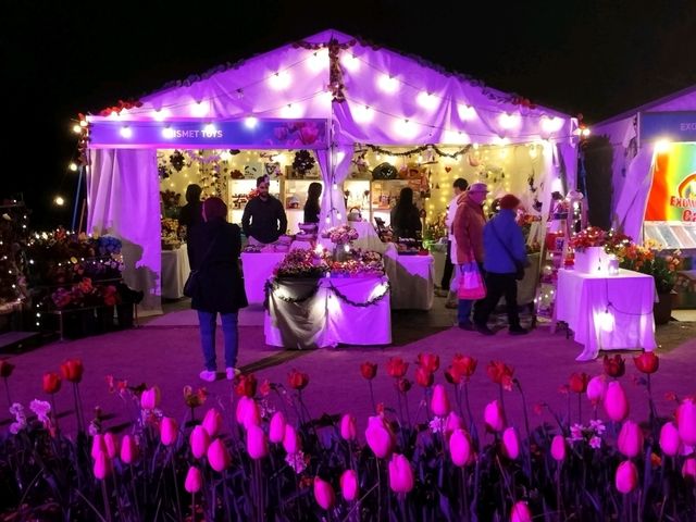 🌹Floriade Nightfest🌹