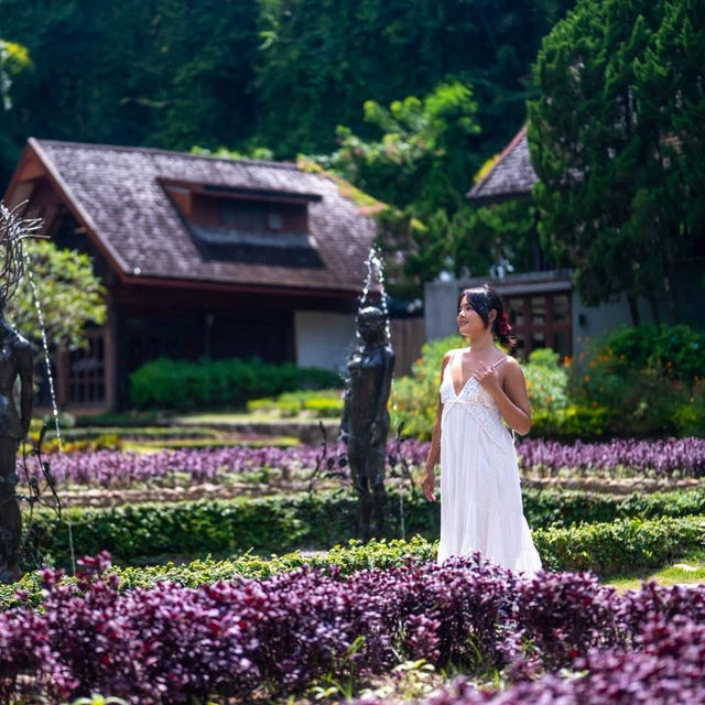 ที่พักเชียงใหม่ท่ามกลางสวนดอกไม้และขุนเขา 🌳 ที่พักเชียงใหม่ท่ามกลางสวนดอกไม้และขุนเขา 🌳