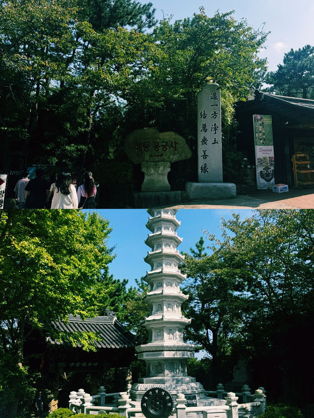 바다와 맞닿은 사색의 시간, 해동용궁사 바다와 맞닿은 사색의 시간, 해동용궁사