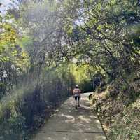 雙腳代替纜車：登太平山頂、爬『西高山』，一路看盡香港風光～