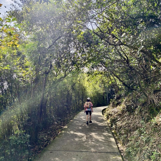 雙腳代替纜車：登太平山頂、爬『西高山』，一路看盡香港風光～
