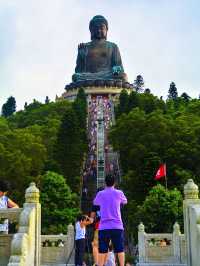 Sunny Dharma Bliss🌞