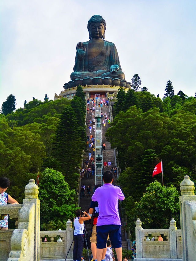 Sunny Dharma Bliss🌞 Sunny Dharma Bliss🌞