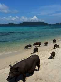 เกาะมัดสุม