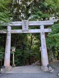 Zen at Takeo 🌳