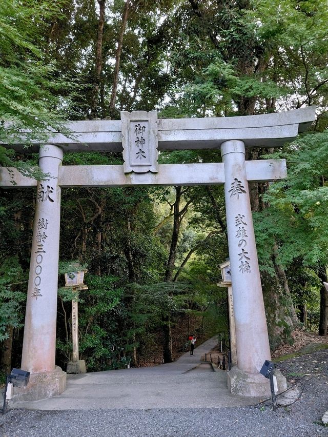 Zen at Takeo 🌳