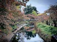 The Glass Castle: My Return to Toyama Castle