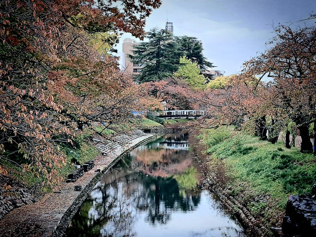 The Glass Castle: My Return to Toyama Castle