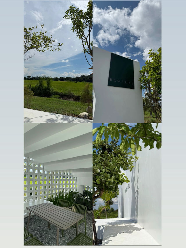 DOOFEEL Soft opening คาเฟ่เปิดใหม่ย่านวัดร่องขุ่น