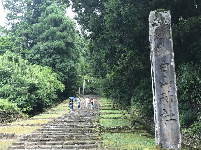 【福井・白山神社平泉寺🌿】苔の聖地で感じる静寂と神仏習合