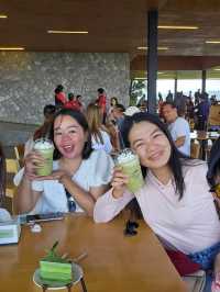 🌿 จิบชา ชมวิวสุดฟินที่ไร่ชาฉุยฟง เชียงราย 🍵