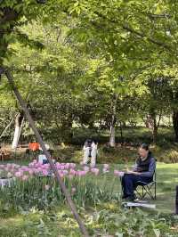 สวนพฤกษศาสตร์ที่สดชื่นที่สุดในหนิงโป 🌳🌸 