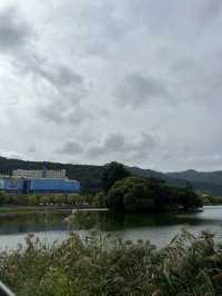 가을 감성 가득한 대구 수성못 🌾 반짝이는 호수 옆 갈대밭 산책코스