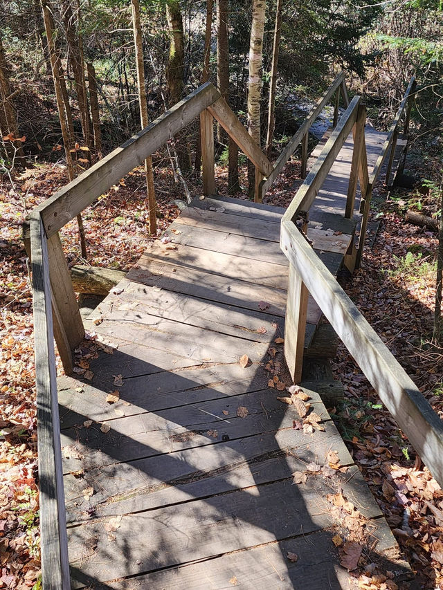 行山呼吸新鮮空氣清新推介