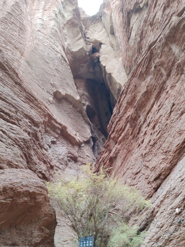 Western Frontier Sanctuary: The A'ai Cave
