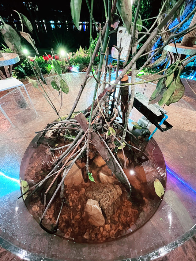 Iskandar Puteri Bamboo Display:  Must-Visit Insta-Worthy Spot 