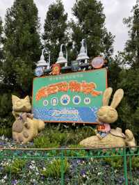 上海ディズニーおすすめ！ジュディのワッフル
