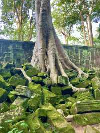 🛕タ・プローム寺院(Ta Prohm)🌀