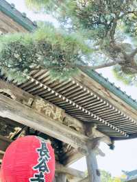 鎌倉海之島慢活放空!古寺x蔚藍海岸一日療癒小旅🍃🌊