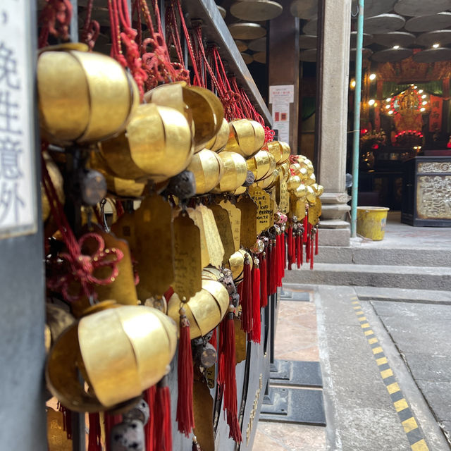 Limited budget but unlimited experience Limited budget but unlimited experience