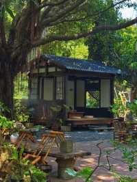 深圳💕朋介紹不來會後悔的地方