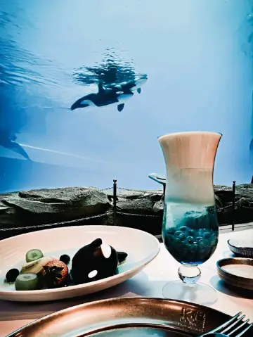 一同遨遊深海底，飛船樂園鯨生鯨世