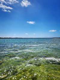 Lake Clifton Thrombolites: Earth's Ancient Life Forms