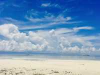 Doljo Beach - Starfish everywhere!